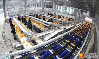 農夫山泉信豐工廠竣工投產，打造技術驅動新標桿，預計年銷售額達4.5億元