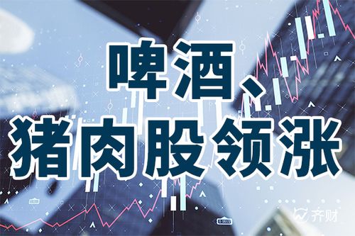 江蘇天鼎證券林煒 啤酒與豬肉股領漲，消費復蘇下的結構性機會